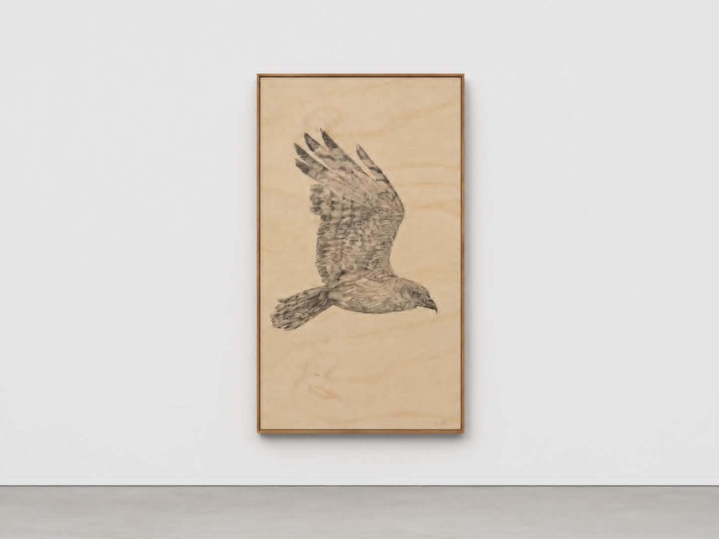 WIN | Te Ara o te Kahu | Original Artwork Draw | Value $1,200