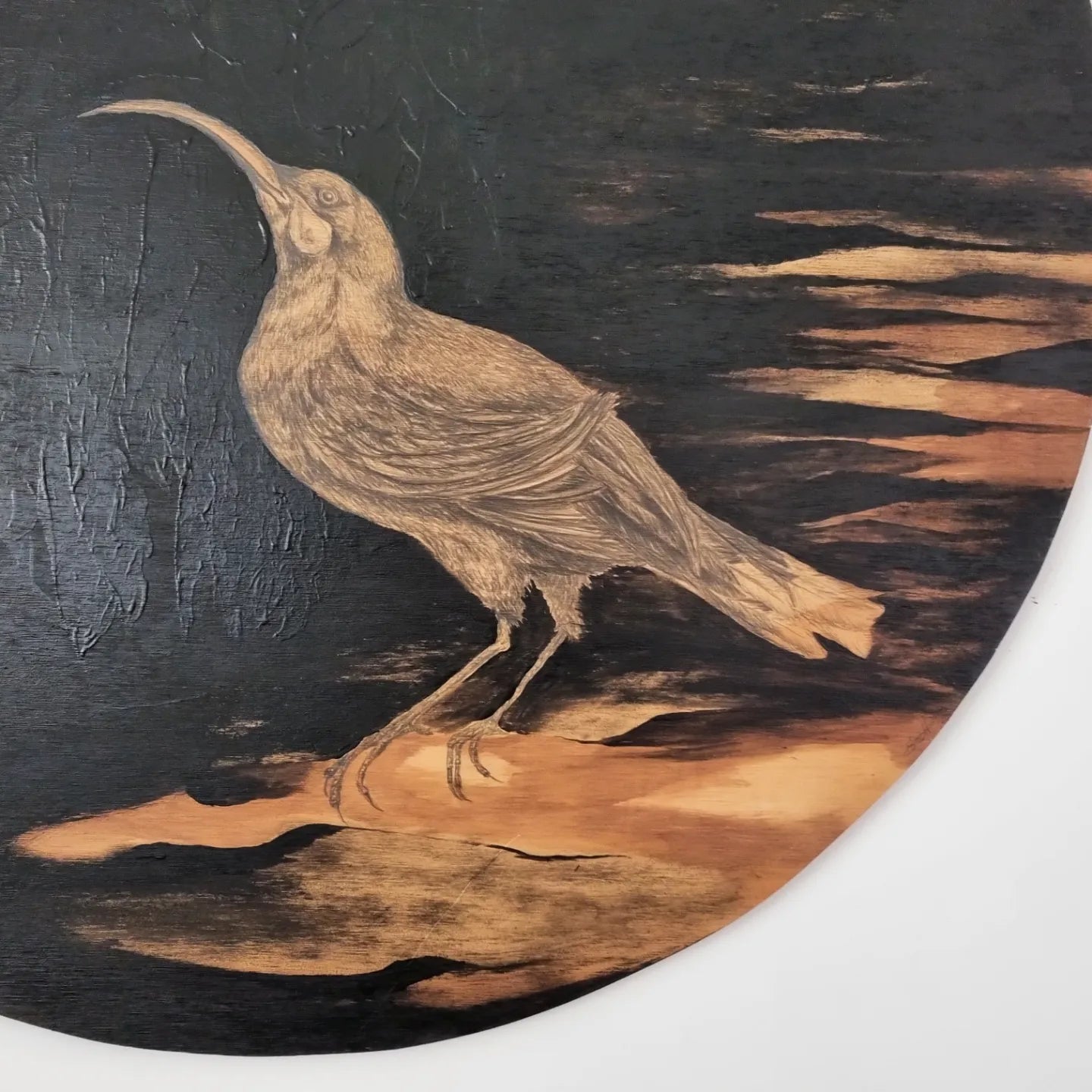 Lost Huia and The Elm tree