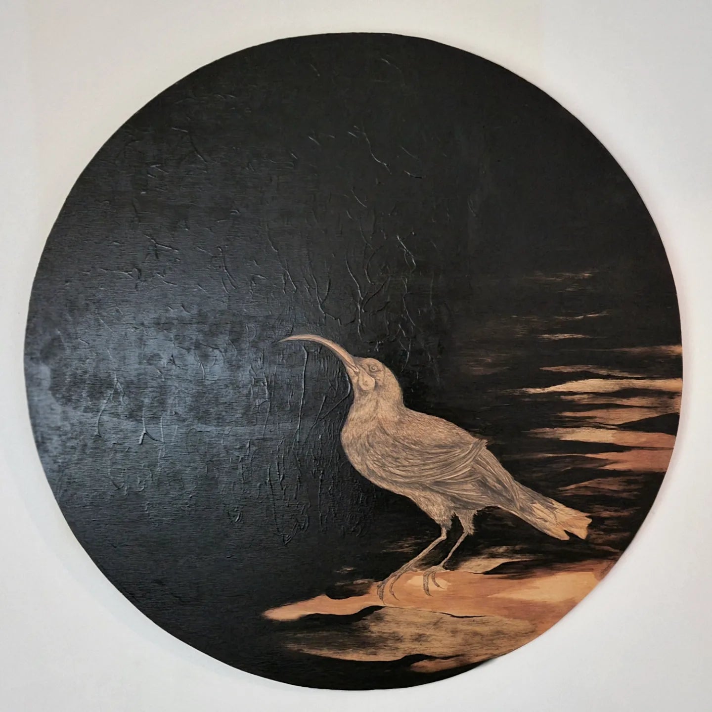Lost Huia and The Elm tree