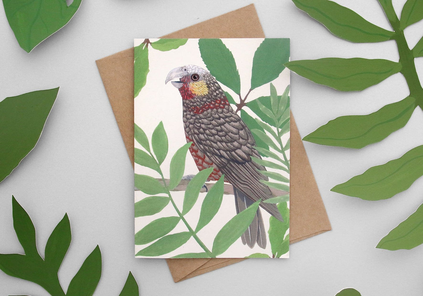 Illustrated NZ Bird Greeting Card Pack of 8 - Pack A