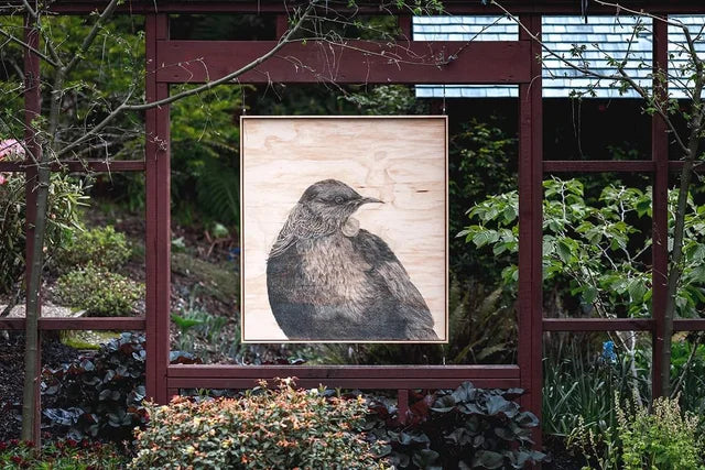 Anna Scott, TŪĪ