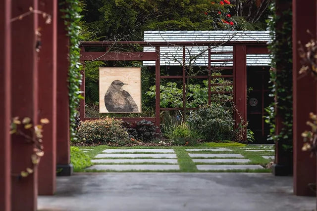 Anna Scott, TŪĪ