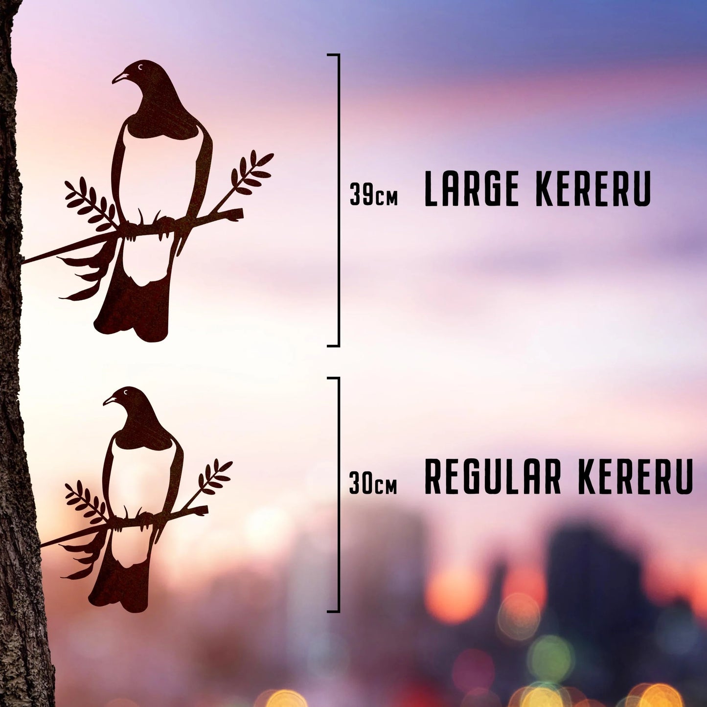 Kereru / Woodpigeon