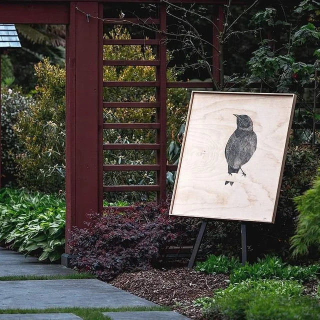 Anna Scott, Korimako Dawn Chorus