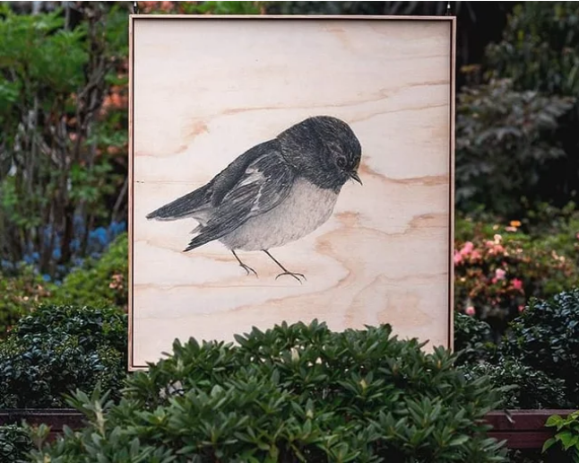 Anna Scott, Miromiro the Love Charm