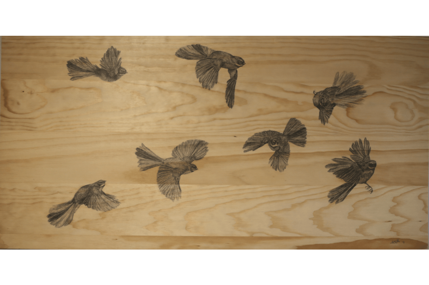 Anna Scott, Piwakawaka in Flight