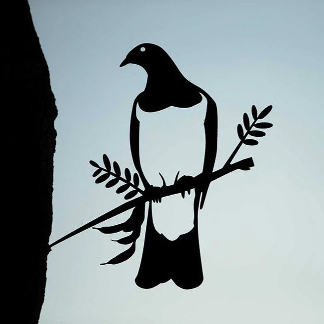 Kereru / Woodpigeon