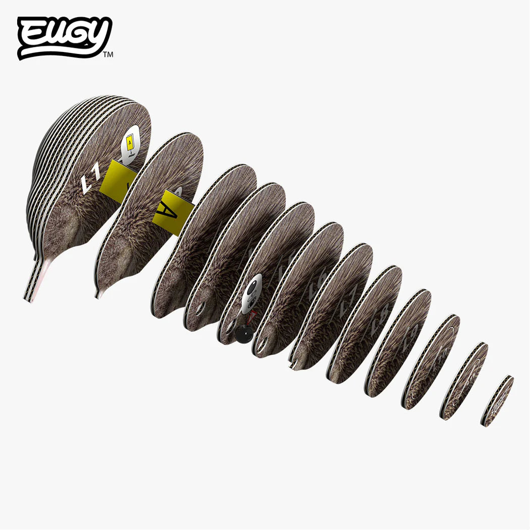 EUGY Kiwi 3D Model Kit