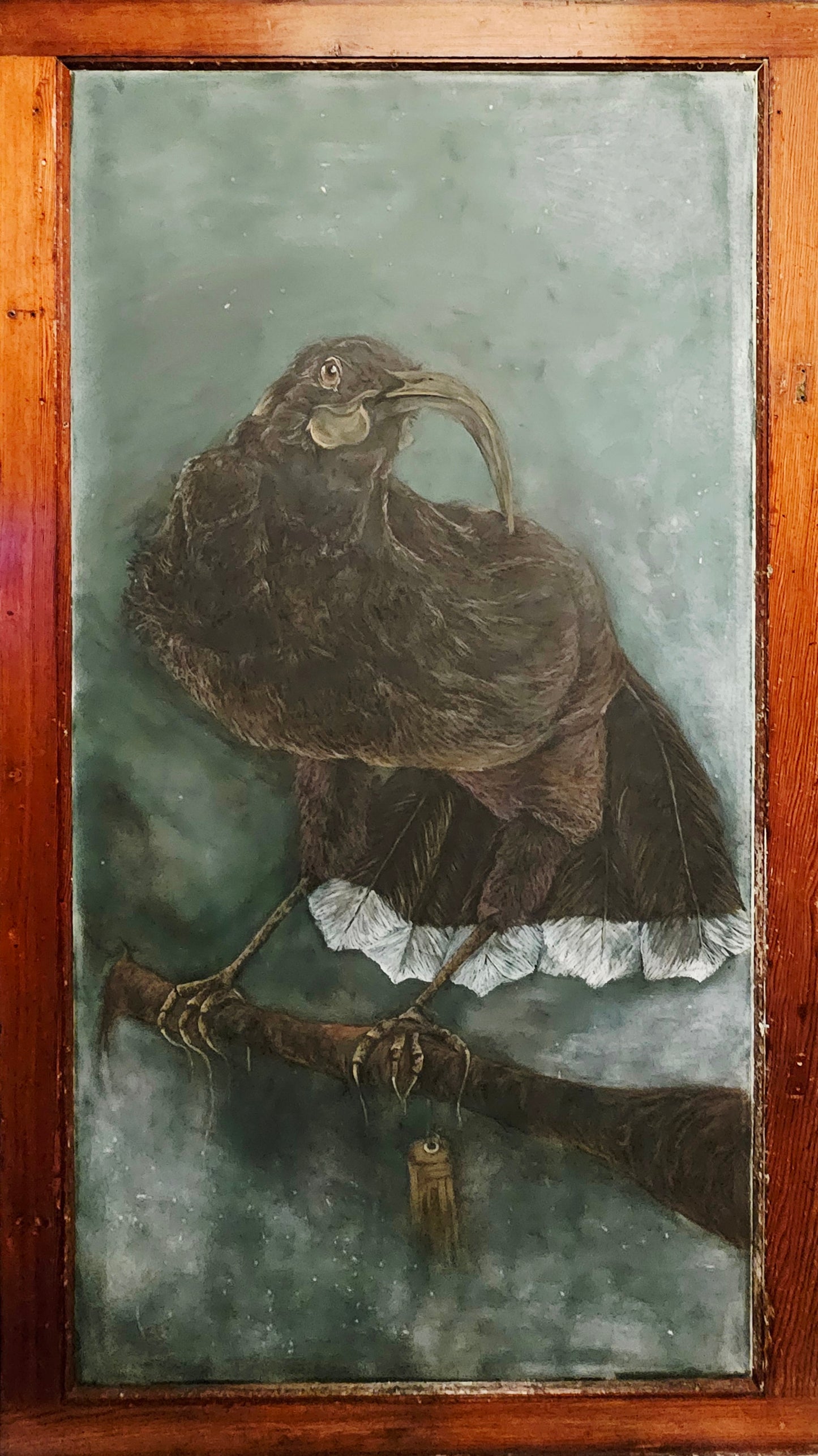 Anna Scott, Huia Tagged 1907