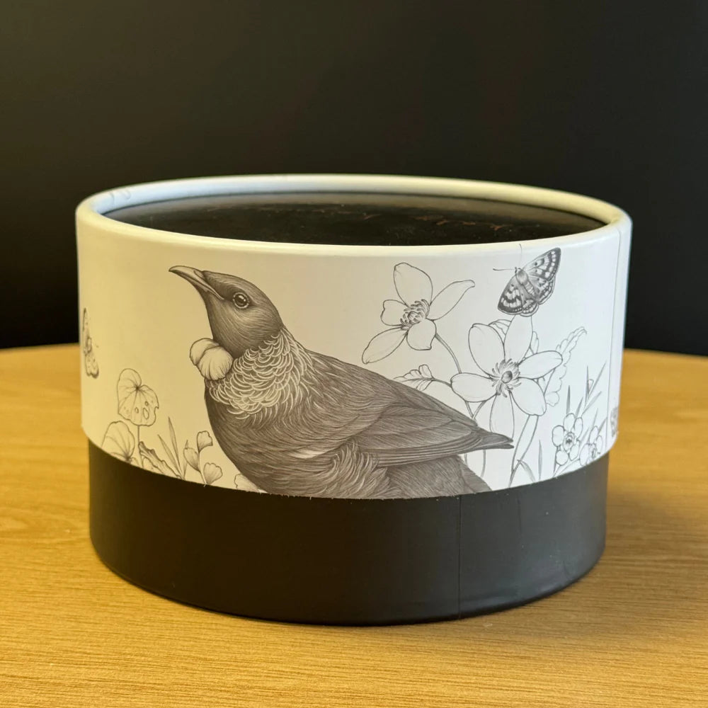 Katy Hayward Cup - Home Is Here | Tūī