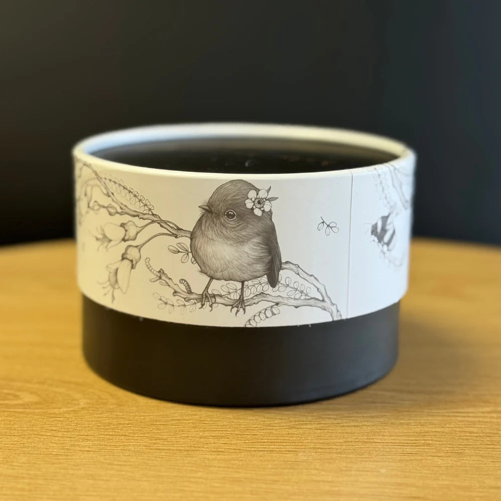 Katy Hayward Cup - So This Is Love | Miromiro / Tomtit
