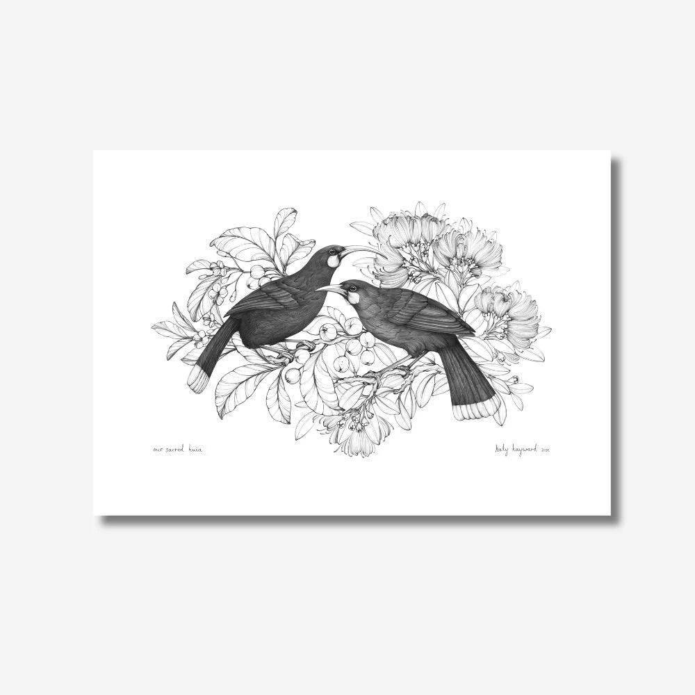 Katy Hayward Print – Our sacred Huia
