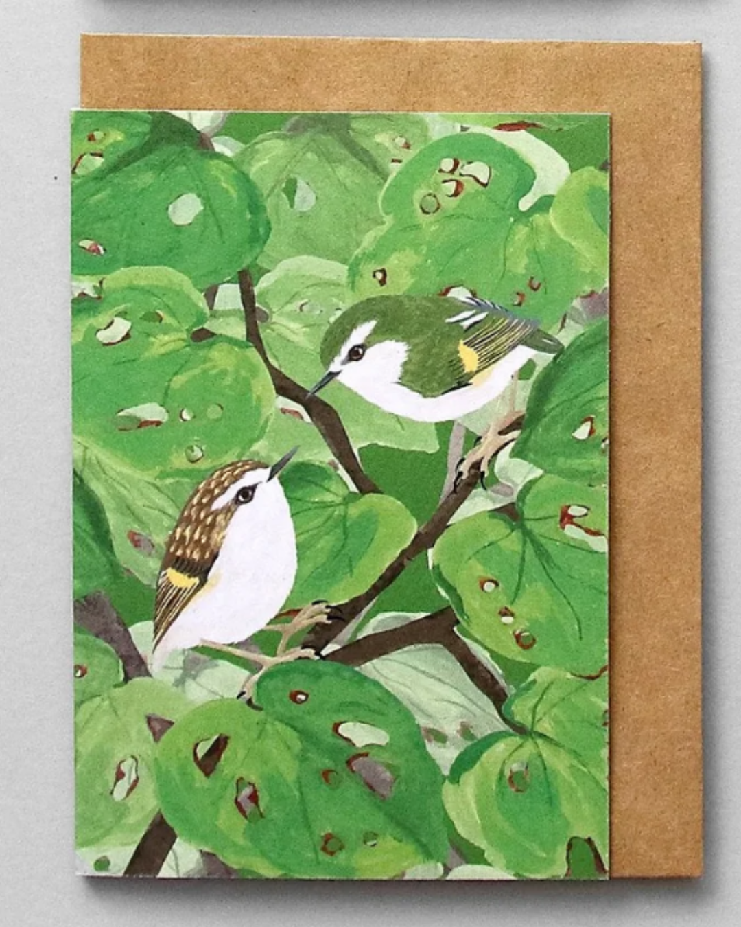 Rifleman | Titipounamu in Kawakawa Greeting Card