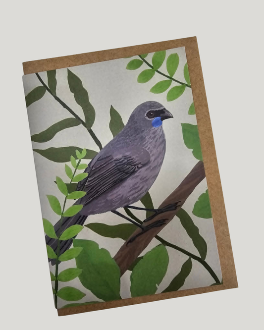 Kōkako NZ Bird Greeting Card
