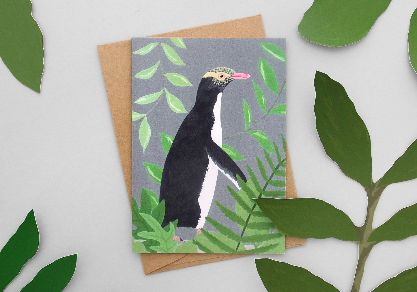 Illustrated NZ Bird Greeting Card Pack of 8 - Pack A