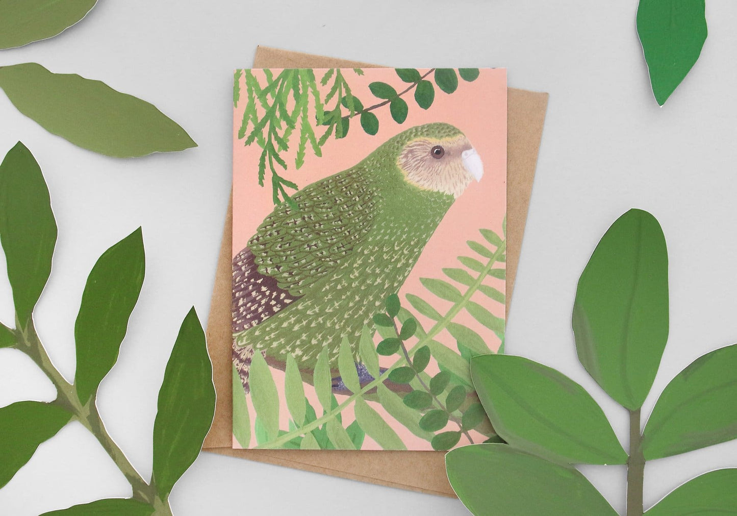 Illustrated NZ Bird Greeting Card Pack of 8 - Pack A