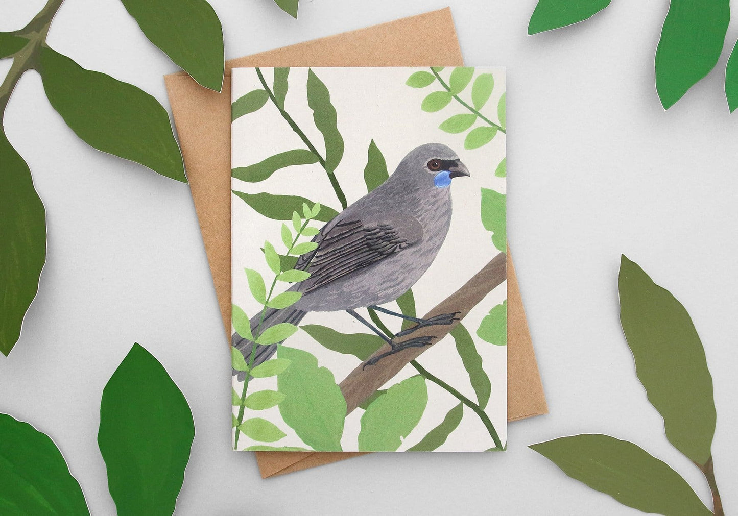 Illustrated NZ Bird Greeting Card Pack of 8 - Pack B