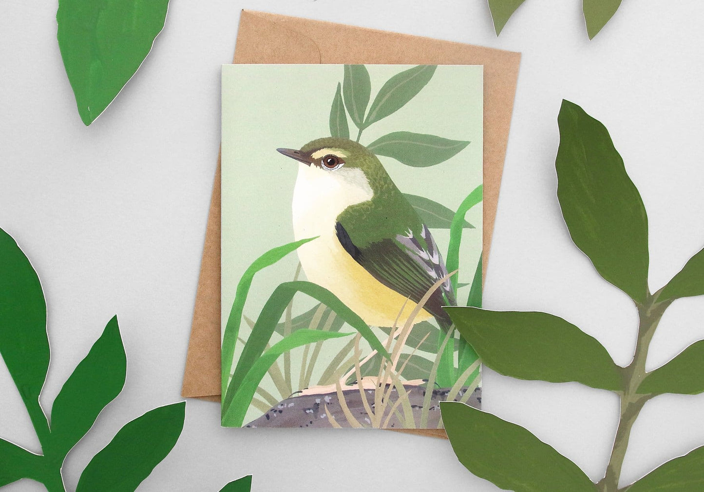 Illustrated NZ Bird Greeting Card Pack of 8 - Pack B