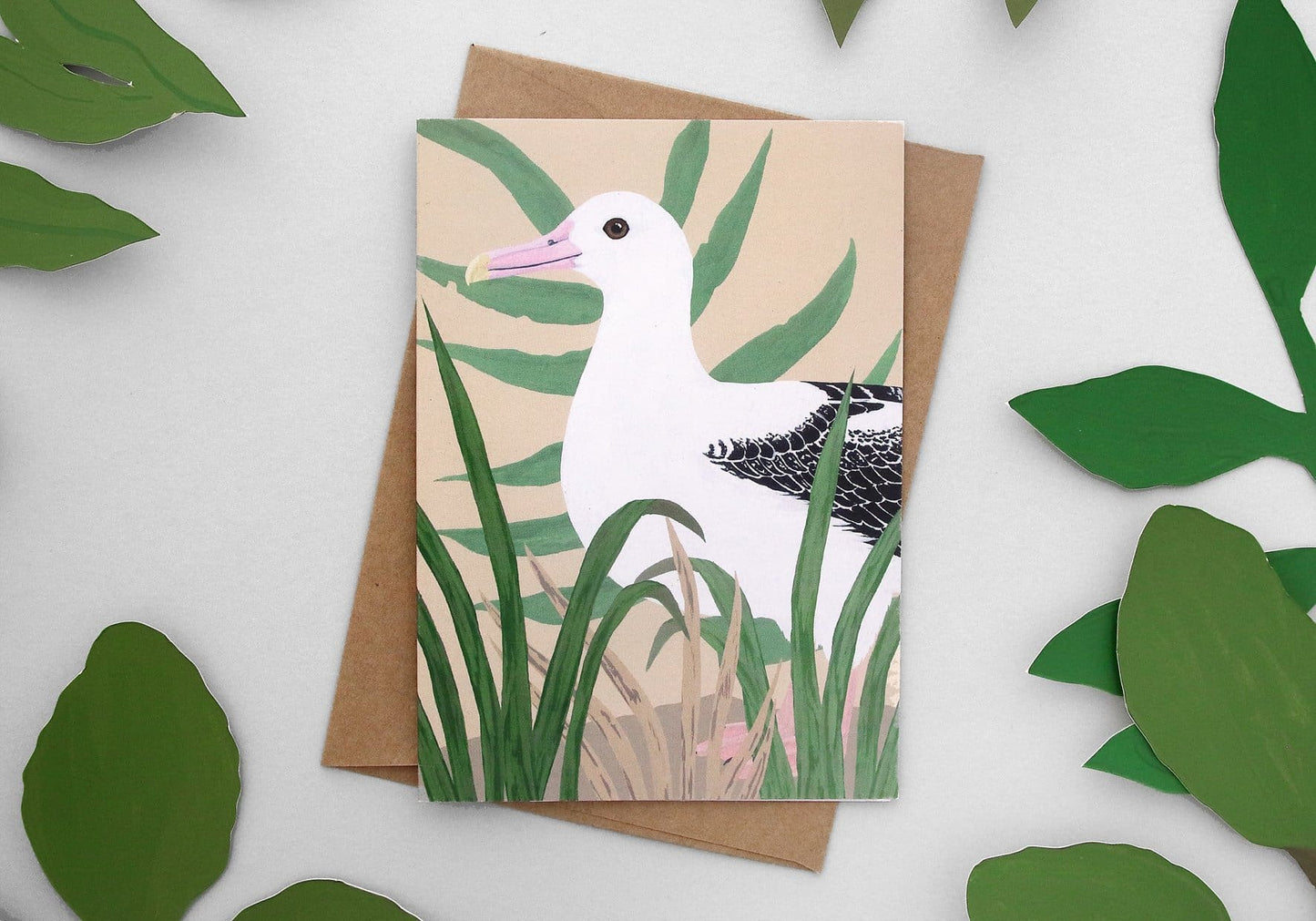 Illustrated NZ Bird Greeting Card Pack of 8 - Pack A