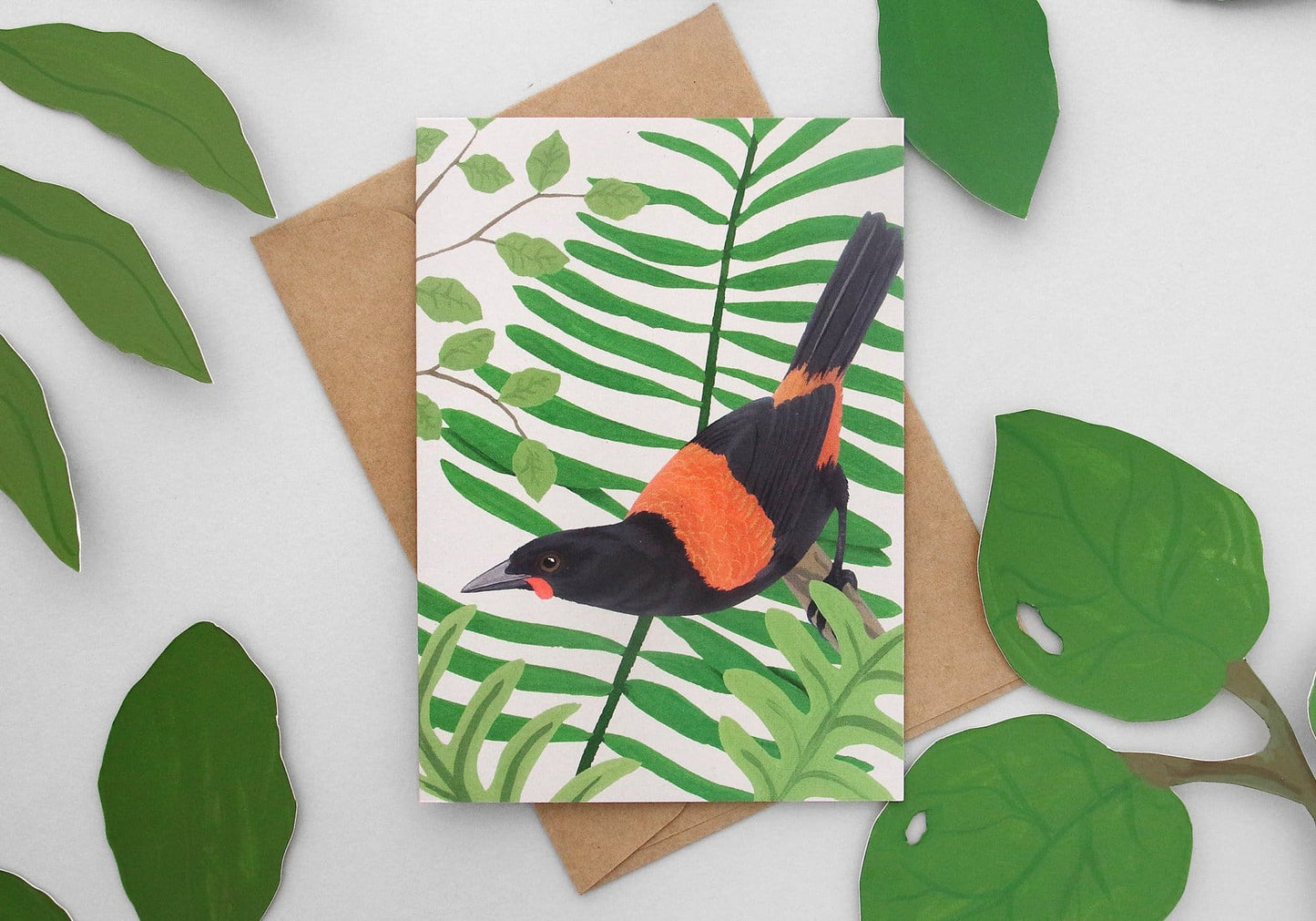 Illustrated NZ Bird Greeting Card Pack of 8 - Pack A