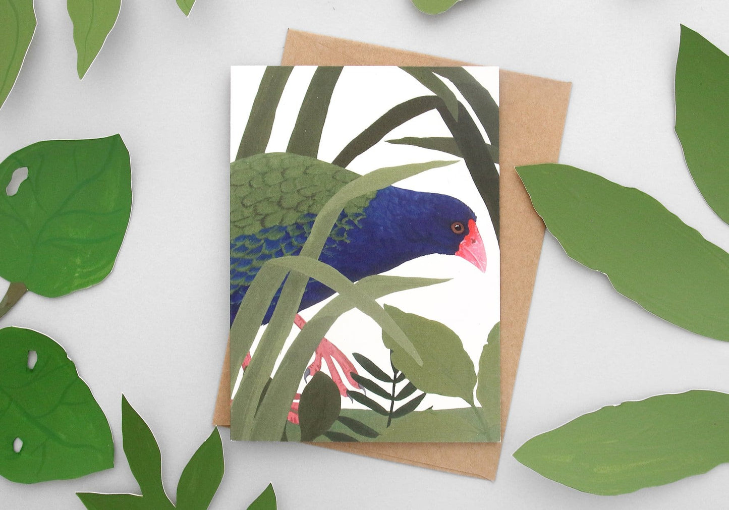 Illustrated NZ Bird Greeting Card Pack of 8 - Pack B