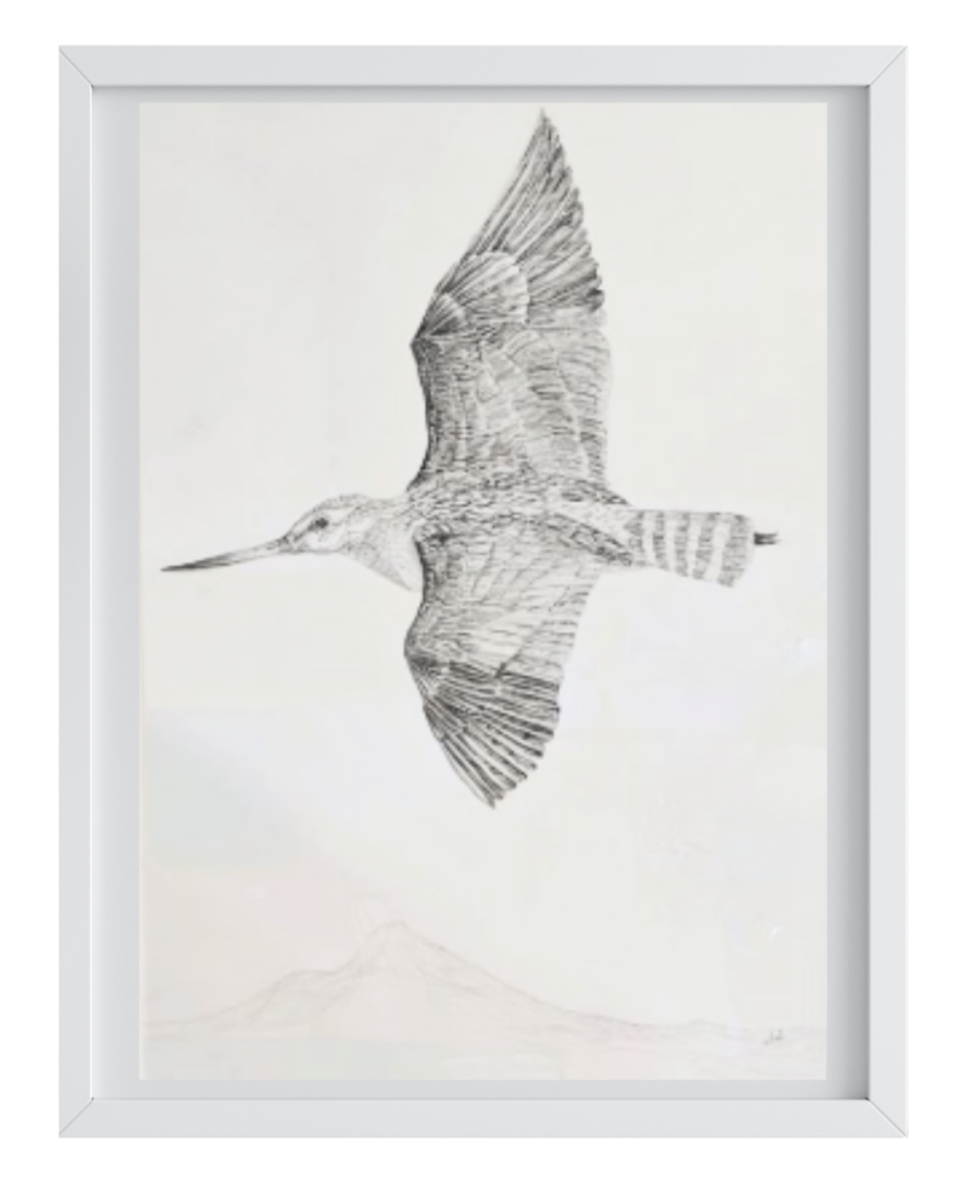 Over the Mountains, Under the Sky