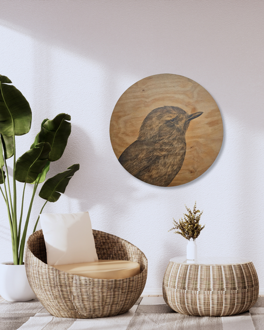 Anna Scott, Portrait of a Riroriro