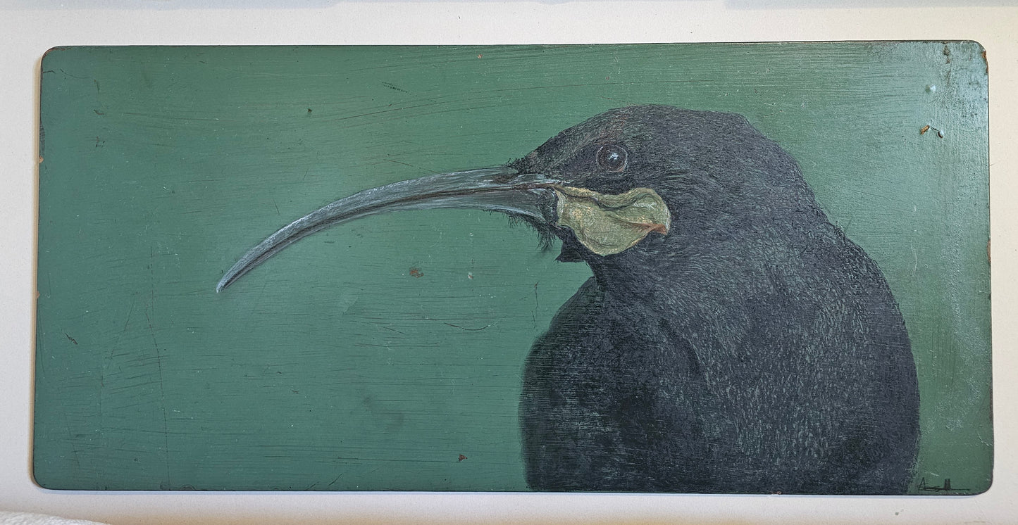 Huia Erased