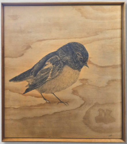 Anna Scott, Miromiro the Love Charm