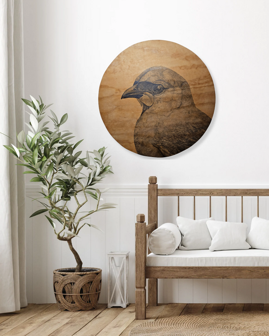 Anna Scott, Portrait of a Kōkako