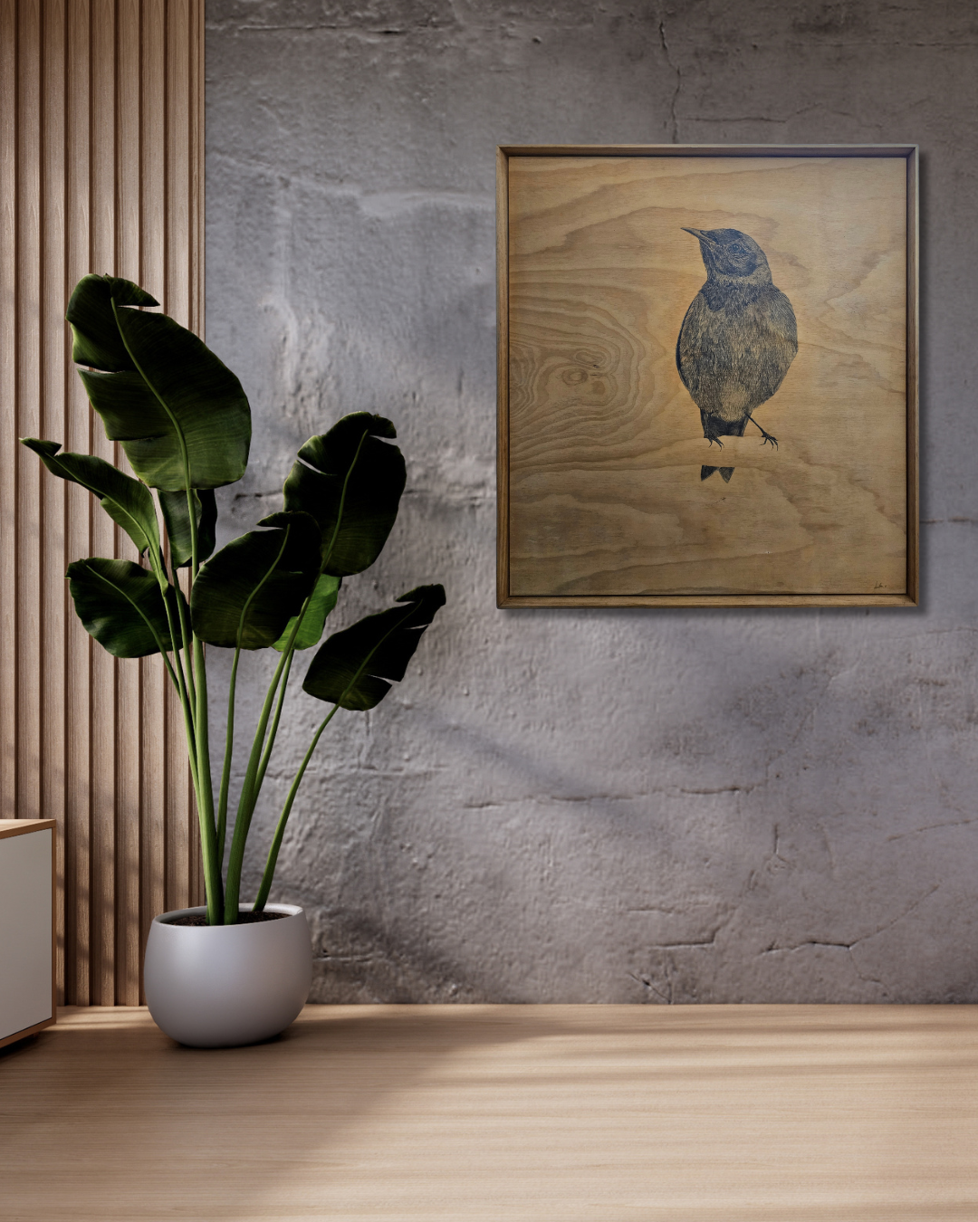 Anna Scott, Korimako Dawn Chorus