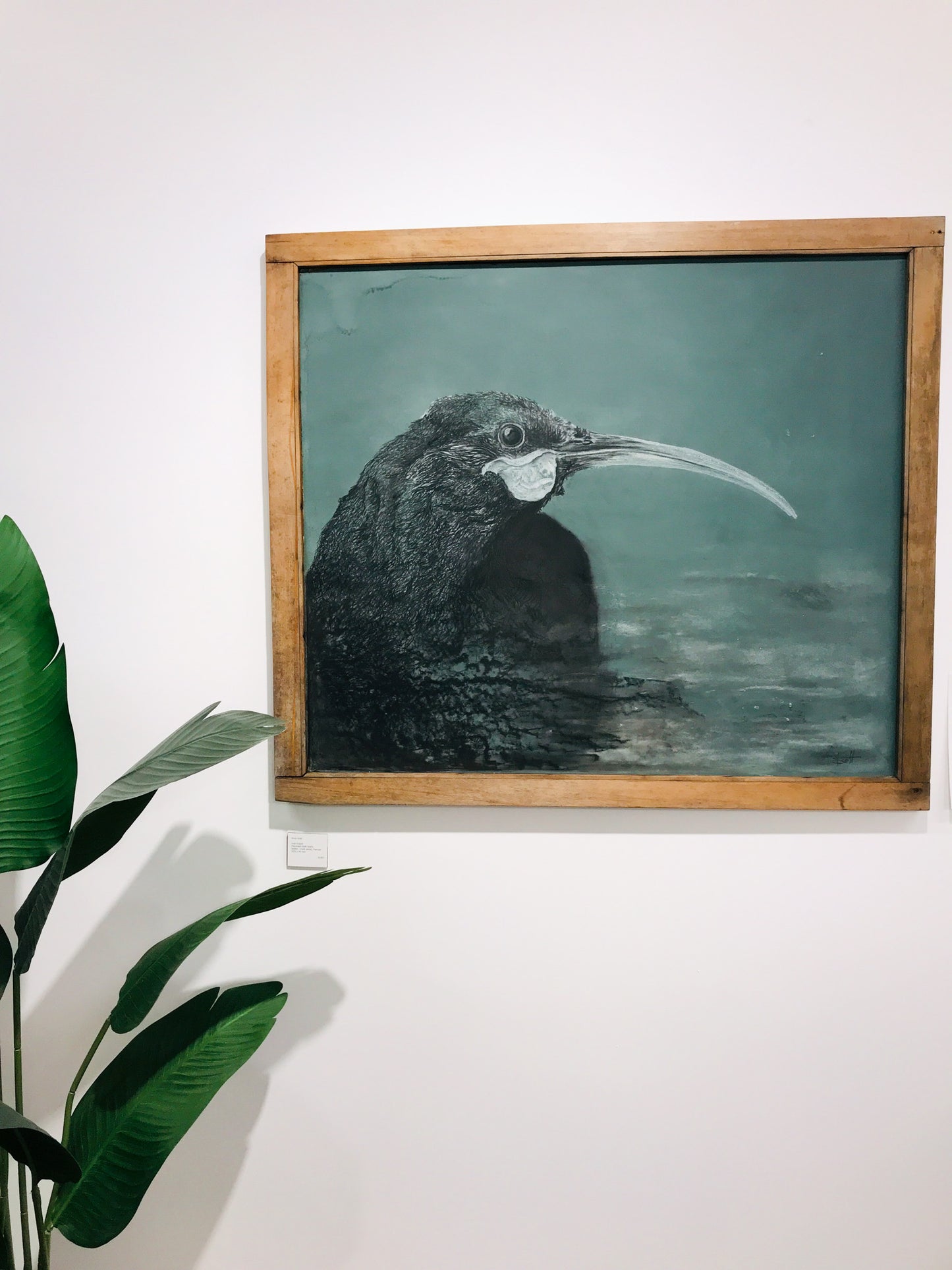 Anna Scott, Erased Huia