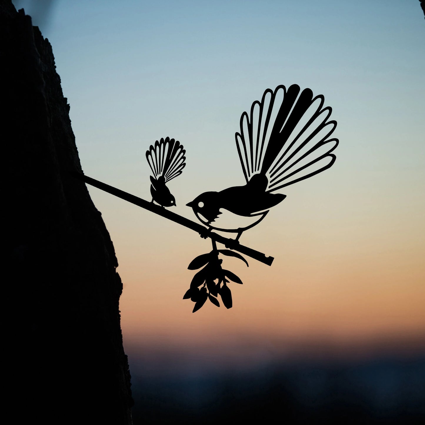 Piwakawaka (Fantail) And Baby