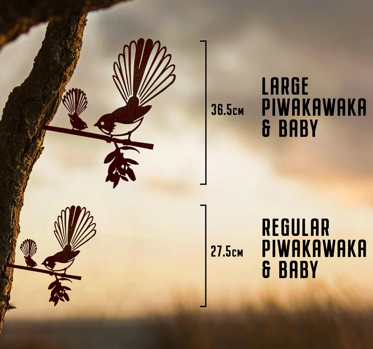 Piwakawaka (Fantail) And Baby