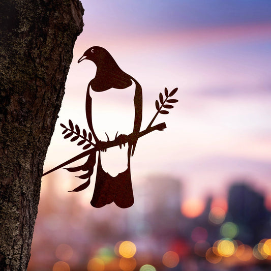 Kereru / Woodpigeon