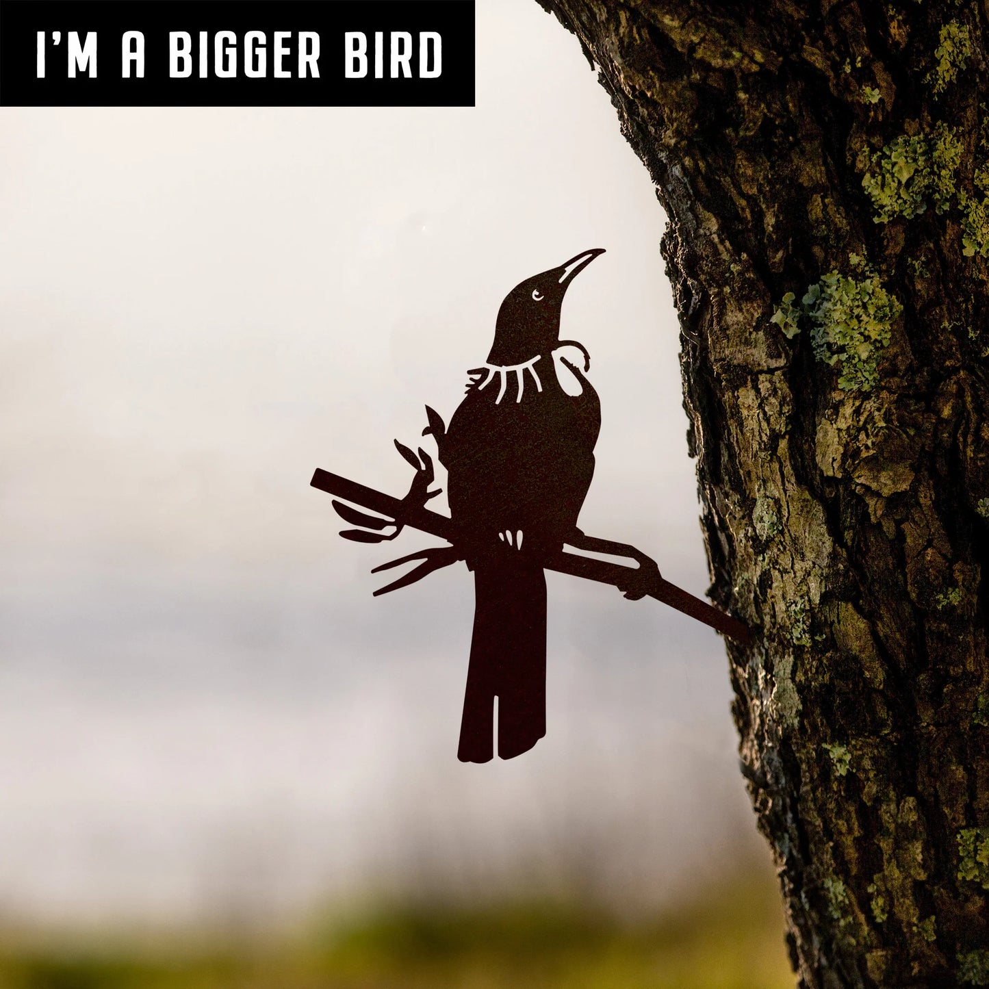 Tui