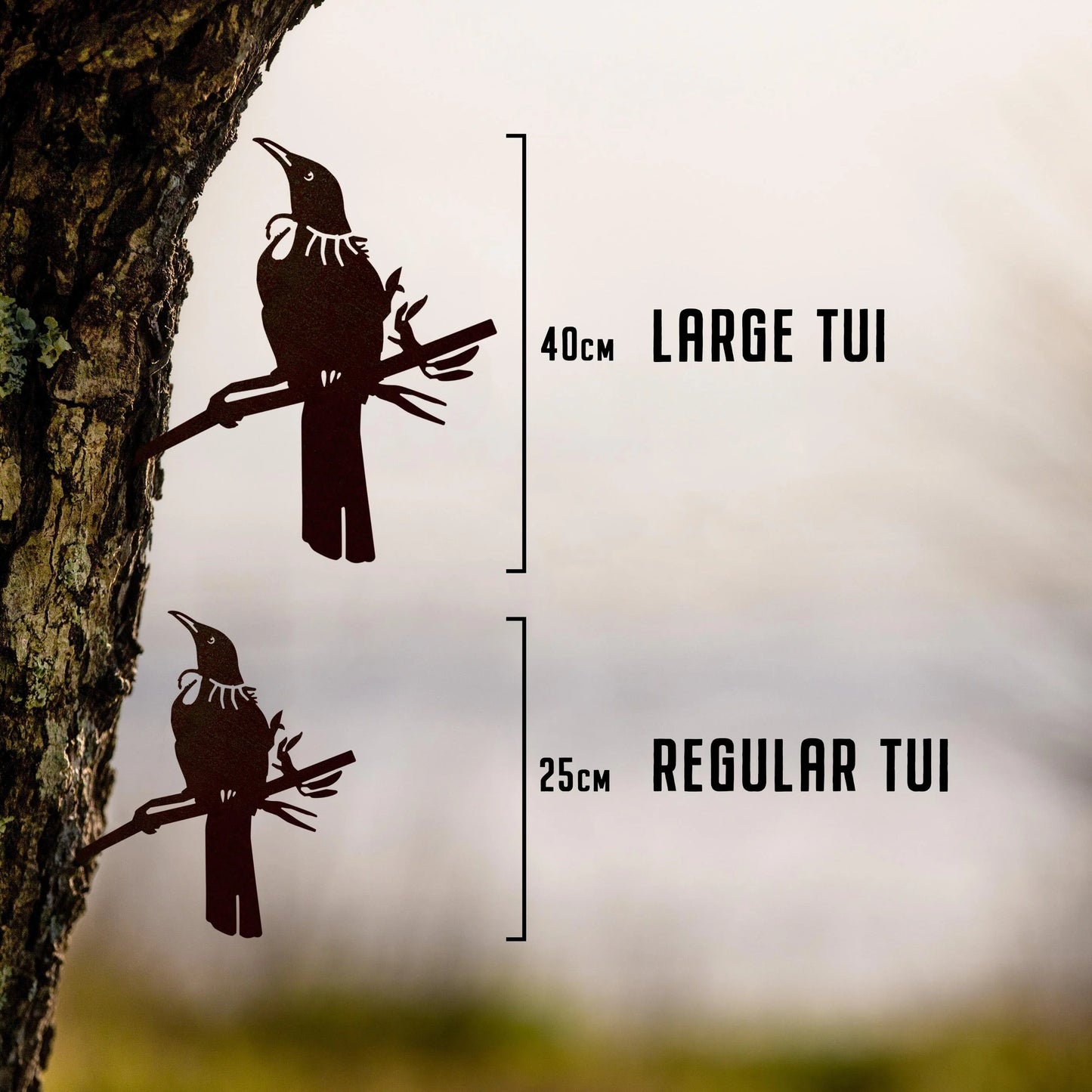 Tui